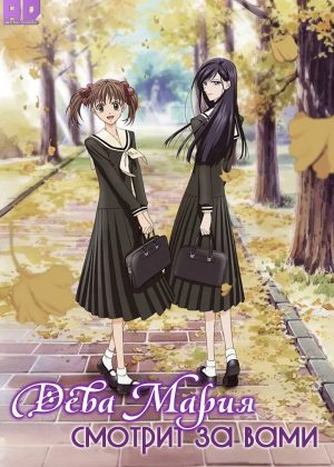 Дева Мария смотрит за вами 