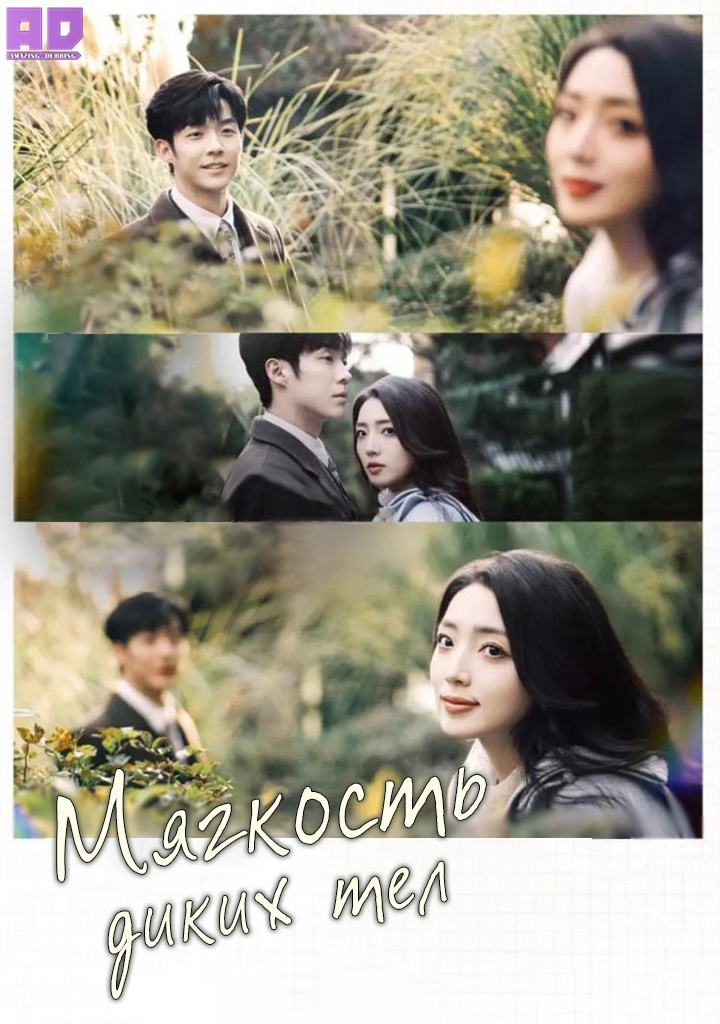 Мягкость диких тел | Zero Degree Ambiguity